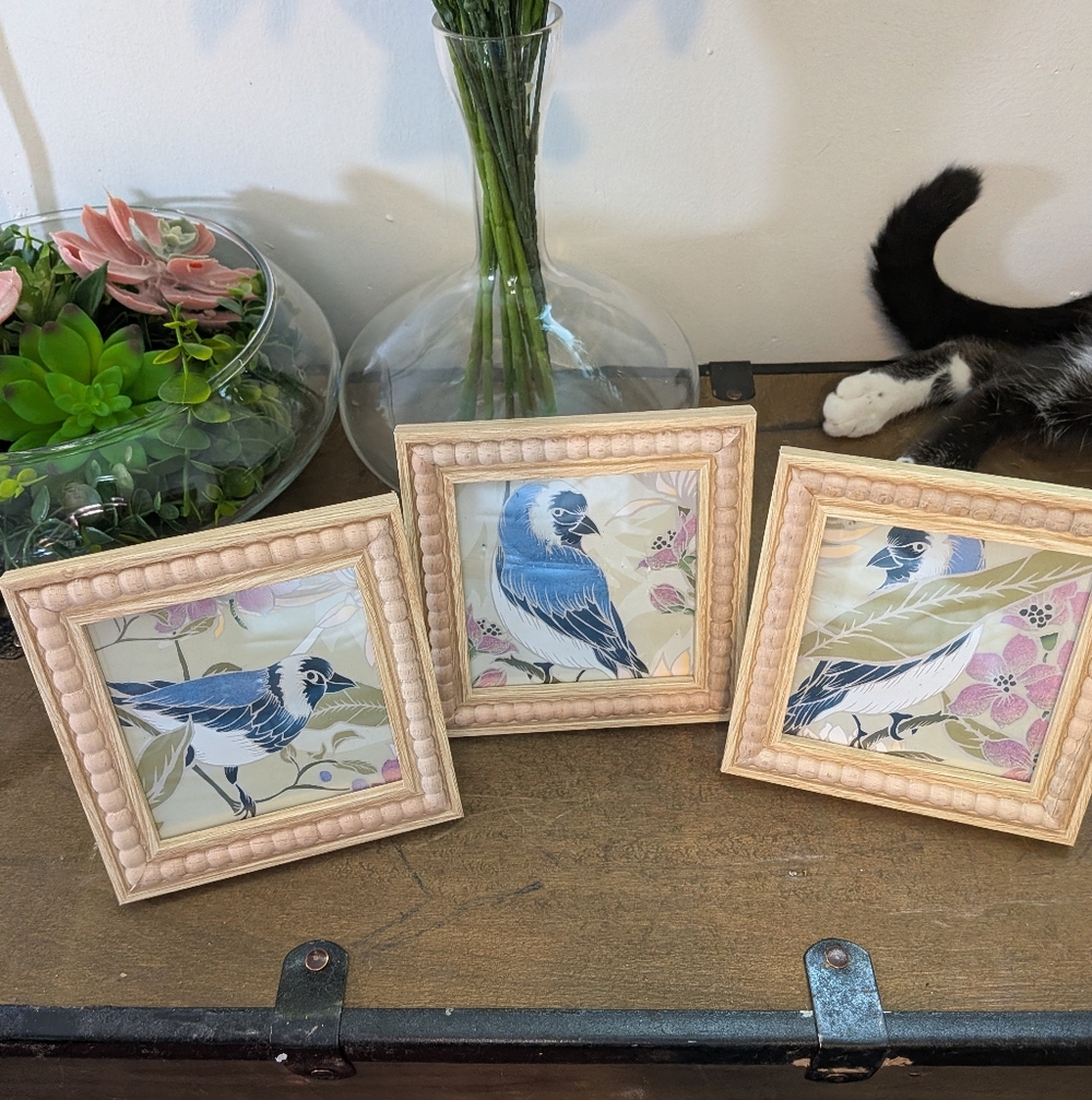 Trio of Bluebird Decorative Pictures 5 x 5 x 0.5"
